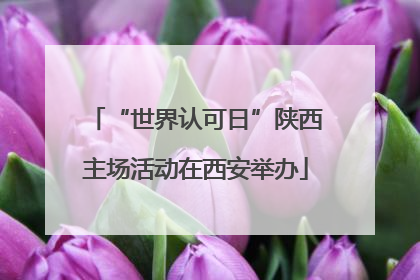 “世界认可日”陕西主场活动在西安举办